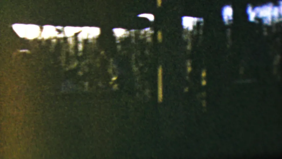 Soft, grainy night frame from the 1964 Anaheim home-movie footage, showing tree shapes and bright background lights through darkness.