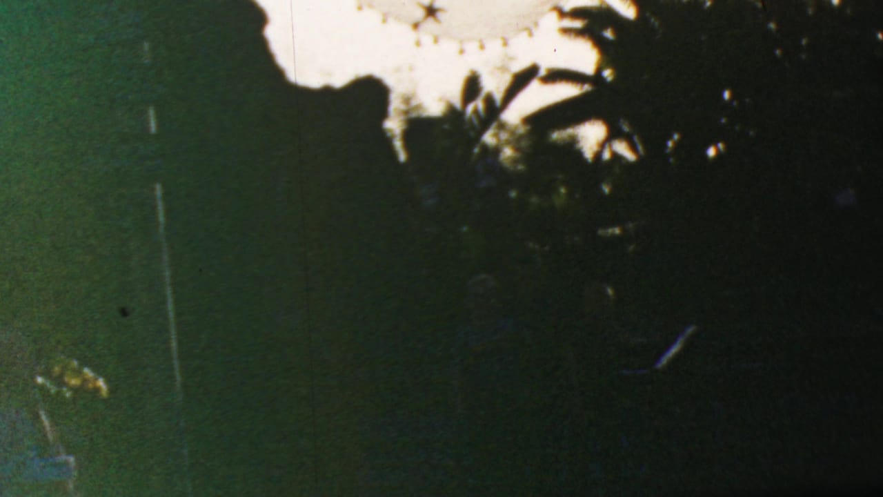 Underexposed 1964 home-movie frame from Disneyland showing palm fronds and dense foliage silhouetted against a bright sky.