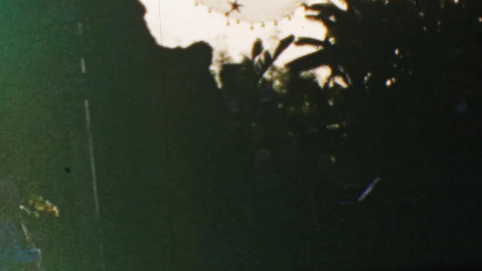Underexposed 1964 home-movie frame from Disneyland showing palm fronds and dense foliage silhouetted against a bright sky.