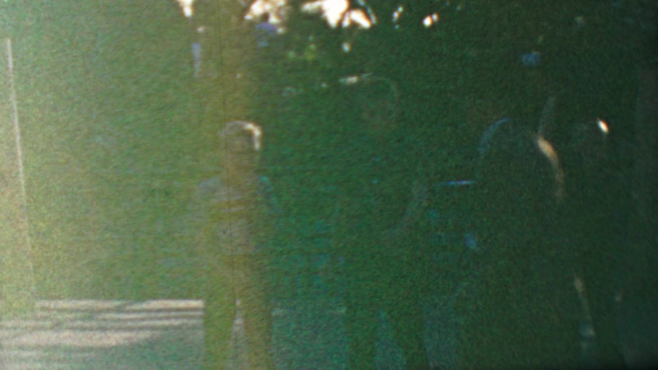 Dark 8mm frame from the Anaheim Disneyland footage showing silhouetted visitors moving through a leafy, sun-dappled walkway.
