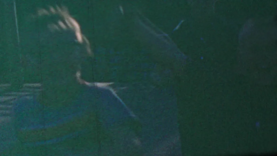 Dim 1964 8mm frame from Disneyland showing a partially profiled visitor in deep shadow beside leafy planting and indistinct figures.