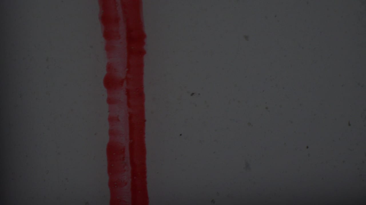 A dark, grainy 8mm frame shows two vertical red marks along the film area, likely leader or edge exposure before the ceremony view appears.