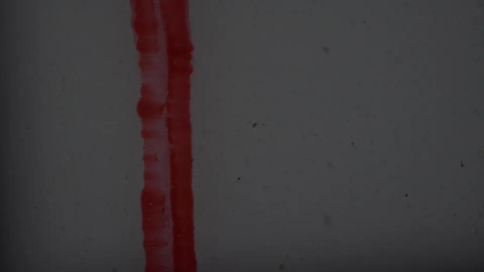 A dark, grainy 8mm frame shows two vertical red marks along the film area, likely leader or edge exposure before the ceremony view appears.