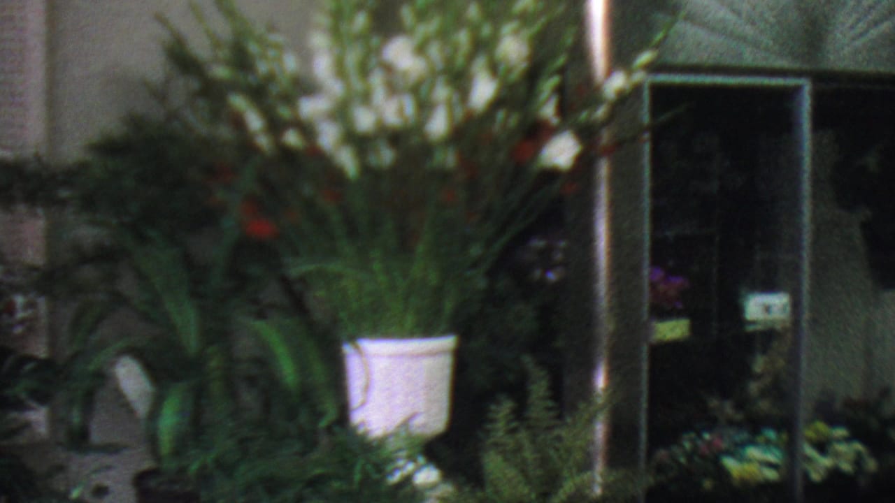 1965 Los Angeles home-movie frame showing outdoor potted plants, a white bucket of tall flowers, glass doors, and floral displays near a storefront entrance.