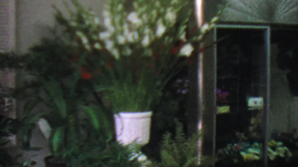 1965 Los Angeles home-movie frame showing outdoor potted plants, a white bucket of tall flowers, glass doors, and floral displays near a storefront entrance.