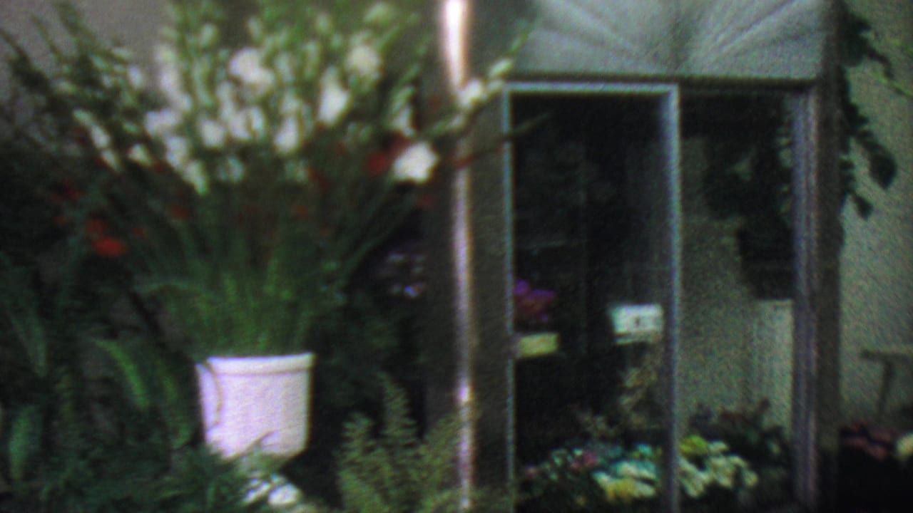 1965 Los Angeles frame showing a glass storefront entrance framed by tall greenery, flowers in a white bucket, and additional plants near the doorway.