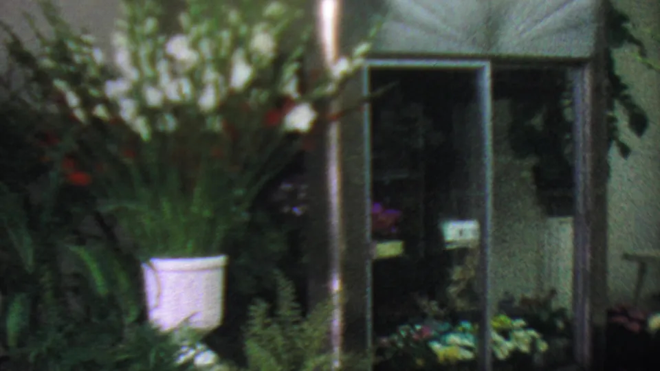 1965 Los Angeles frame showing a glass storefront entrance framed by tall greenery, flowers in a white bucket, and additional plants near the doorway.