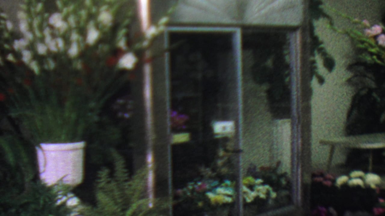Flower shop interior with glass doors, potted flowers, and foliage displays.