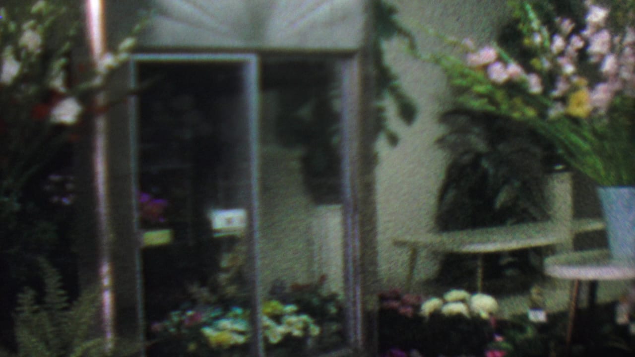 Interior floral display with glass doors, white flowers, potted plants, and a chair.