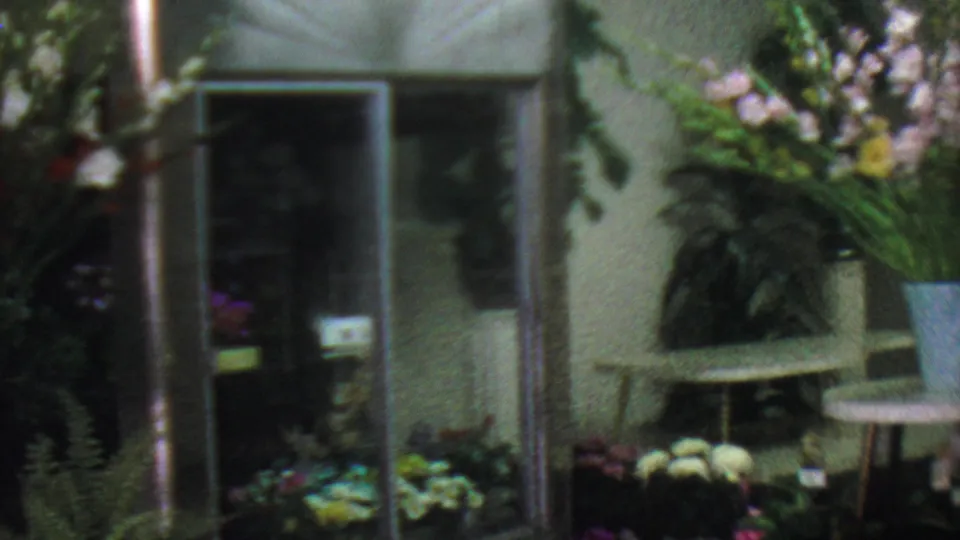 1965 Los Angeles florist interior with white and pale flowers, dense green foliage, glass doors, and a chair or stool near the display area.