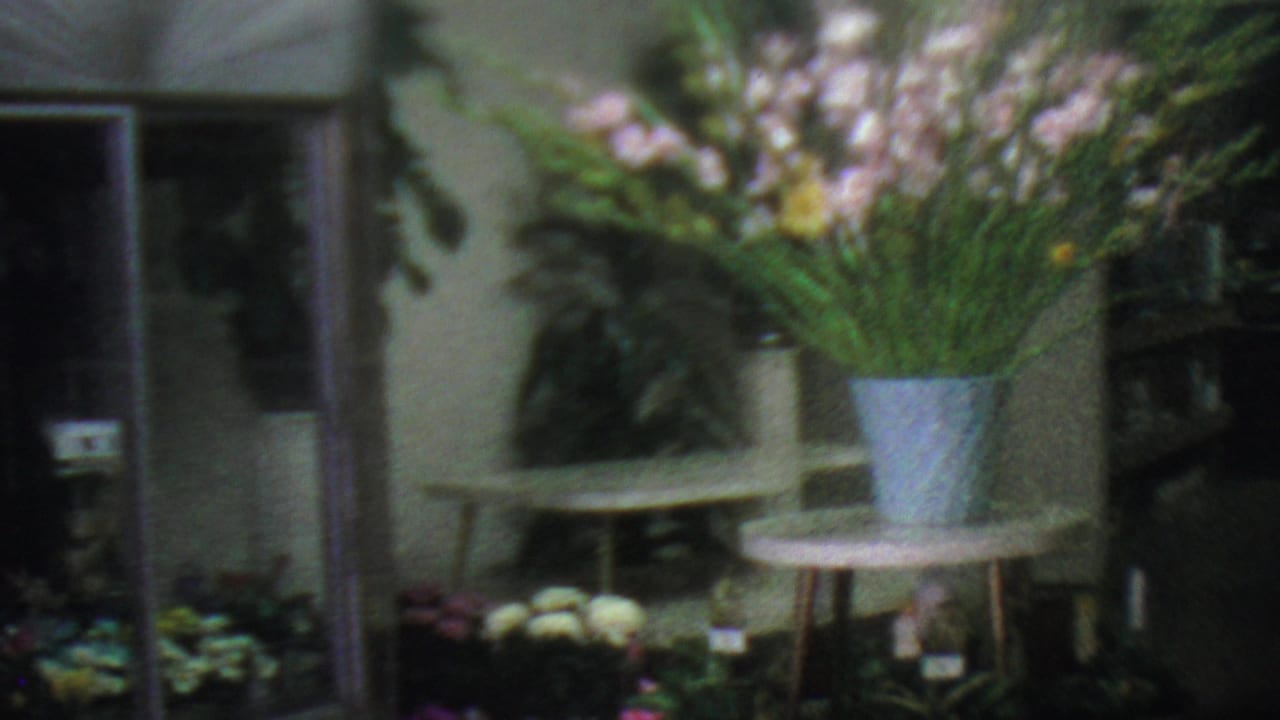 1965 Los Angeles flower shop view with a large pale potted gladiolus arrangement, ferns, glass door, low table, and smaller bouquets below.