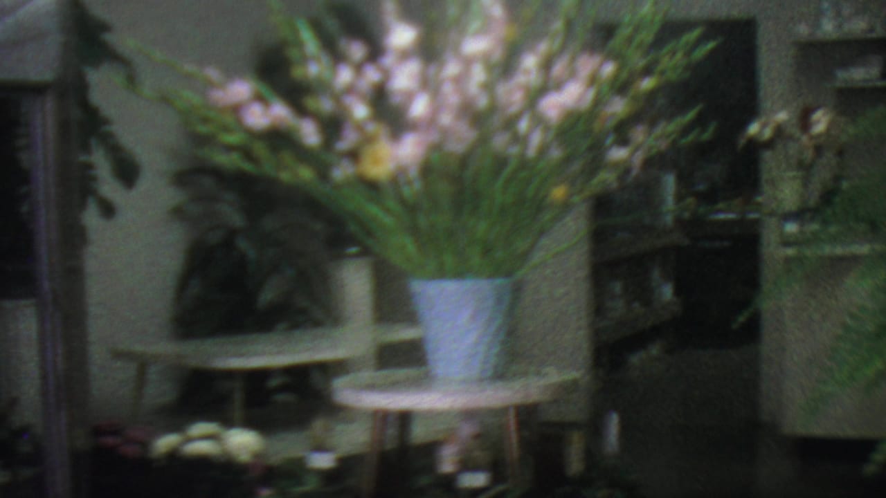 1965 Los Angeles florist interior with a large potted gladiolus arrangement, ferns, shelving, a display table, and darker shop fixtures at the side.