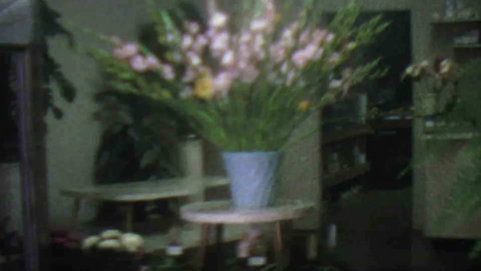 1965 Los Angeles florist interior with a large potted gladiolus arrangement, ferns, shelving, a display table, and darker shop fixtures at the side.