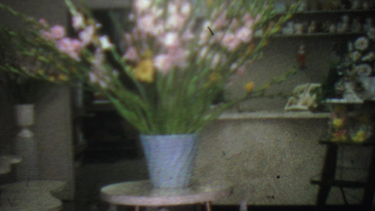 1965 Los Angeles flower shop interior with pink gladiolus and yellow flowers in a pale blue vase, small round tables, and shelves of decorative glassware.