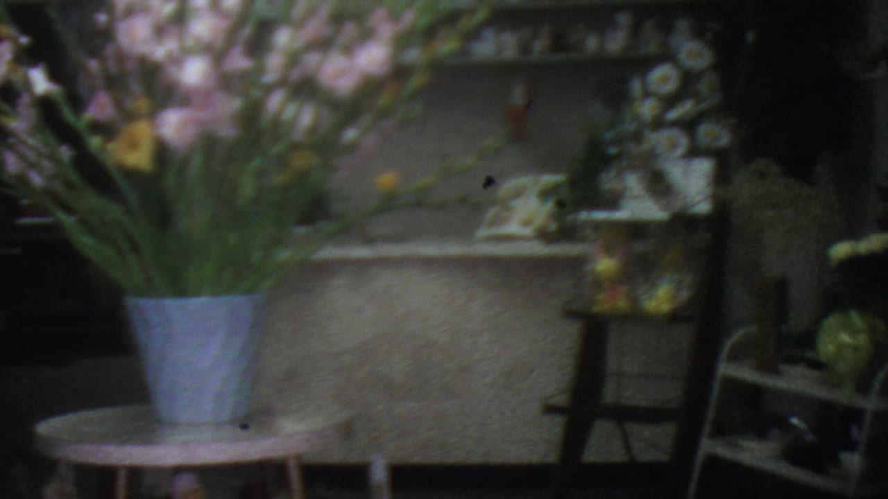 Flower shop shelves and counter area with a blue vase of flowers in the foreground.