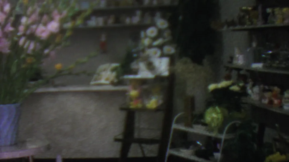 1965 Los Angeles flower shop interior during a rightward pan, with shelves of glassware, floral displays, a pale blue vase, and a small table partly visible.