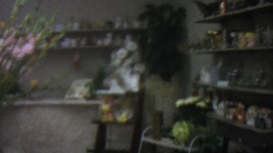 1965 Los Angeles flower shop interior showing shelves filled with glassware and small decorative items, with flowers and shop furniture in soft 8mm focus.