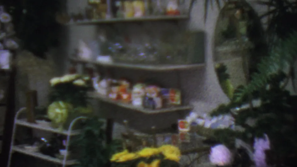 Soft 8mm view of a Los Angeles flower shop display with yellow blooms, greenery, glassware, and small decorative items on shelves.