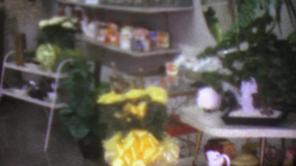 1965 Los Angeles shop interior showing yellow floral arrangements, potted plants, shelving, and tabletop decorative items in soft focus.