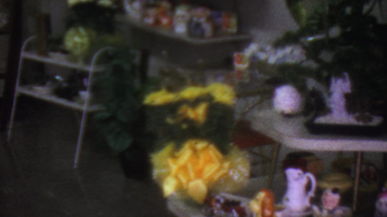 1965 Los Angeles home-movie frame showing a softly focused private interior with open shelves, leafy plants, yellow flowers, and small decorative objects on a display surface.