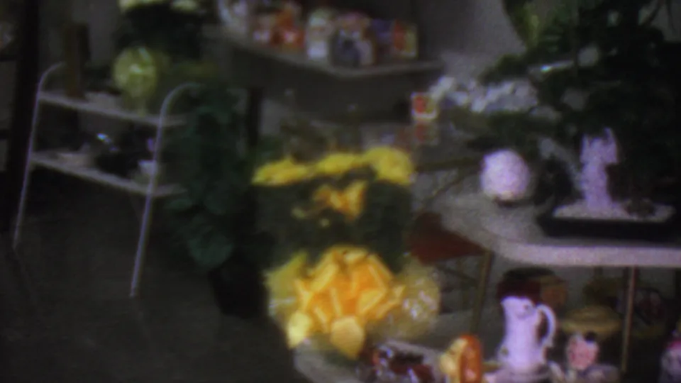 1965 Los Angeles home-movie frame showing a softly focused private interior with open shelves, leafy plants, yellow flowers, and small decorative objects on a display surface.