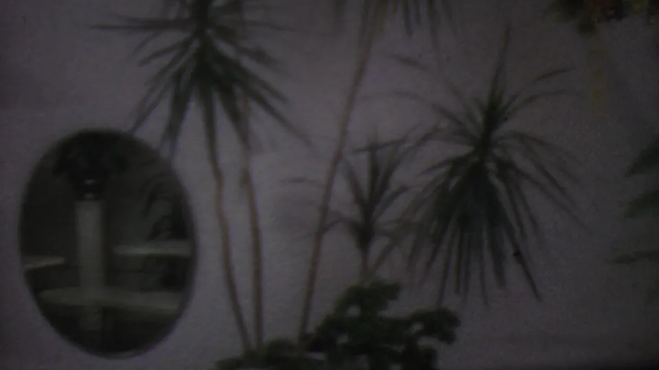 1965 Los Angeles home-movie frame showing tall spiky houseplants, a round wall mirror, leafy greenery, and partially visible tabletop decorations in a private room.