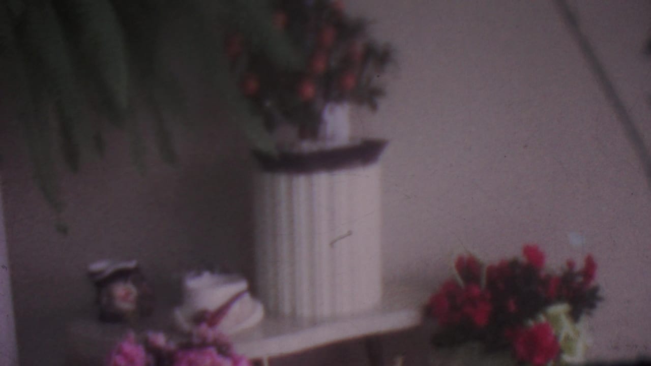 Soft-focus floral display with white vases, red flowers, figurines, and a green plant behind the table.