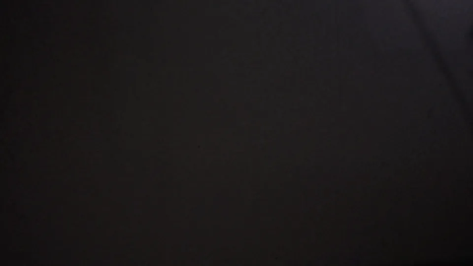 Dark closing 8mm frame from the 1965 Los Angeles clip, showing faint vertical shadowing, grain, and little identifiable subject detail.