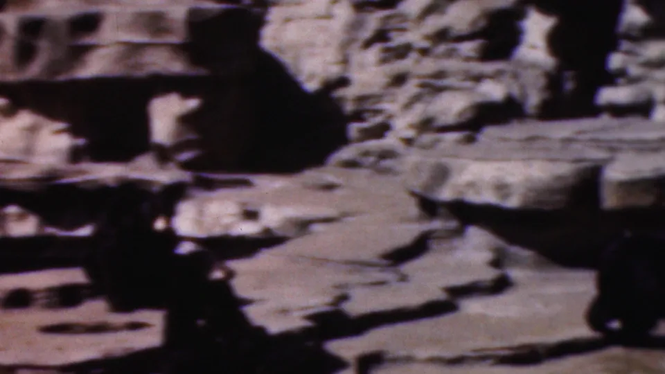 1954 Wisconsin 8mm home-movie frame showing bears among pale artificial rocks in a sunlit zoo enclosure.