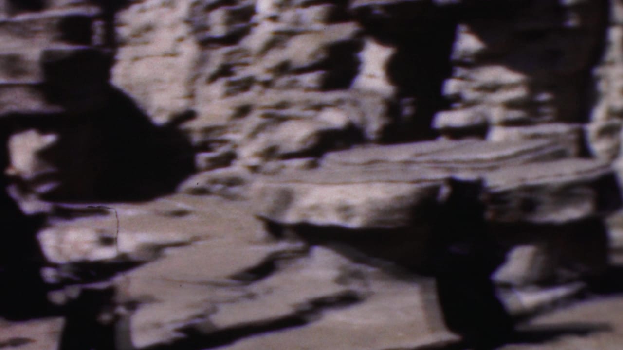 Bear partly visible below layered artificial rock formations.