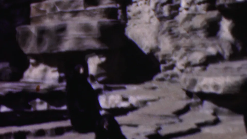 1954 Wisconsin home-movie frame showing a bear in heavy shadow beside artificial rockwork and stacked ledges inside an enclosure.