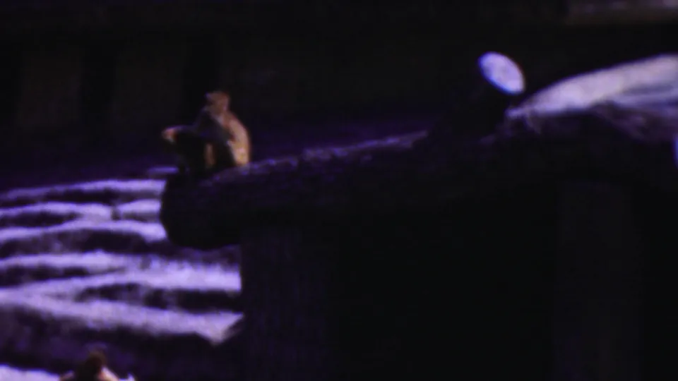 Dim 1954 Wisconsin home-movie frame showing a small primate sitting on a log inside a shadowed enclosure with water or reflective ground nearby.