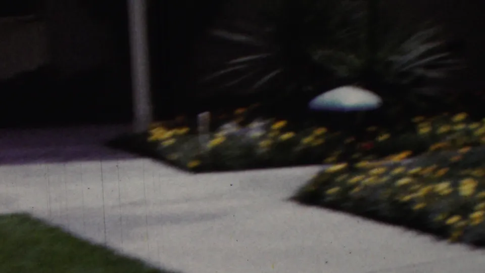 The camera shifts across the backyard, leaving the seated man at the edge while showing a concrete walkway, yellow flowers, and dense garden plants.