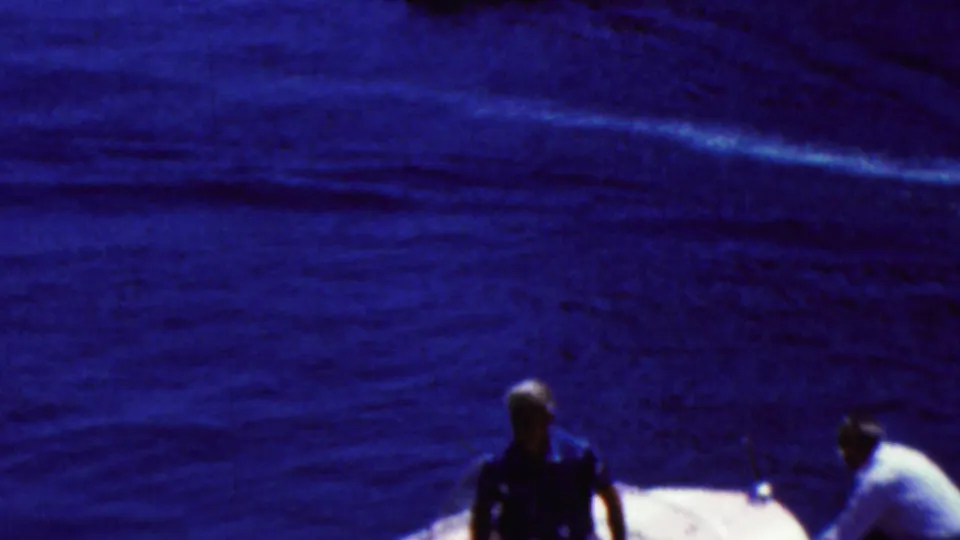 People are visible on a boat in a dark blue harbor scene, with wake lines moving across the water behind them.