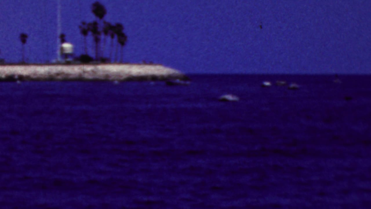 Rocky shoreline with palm trees and small boats on dark blue water.