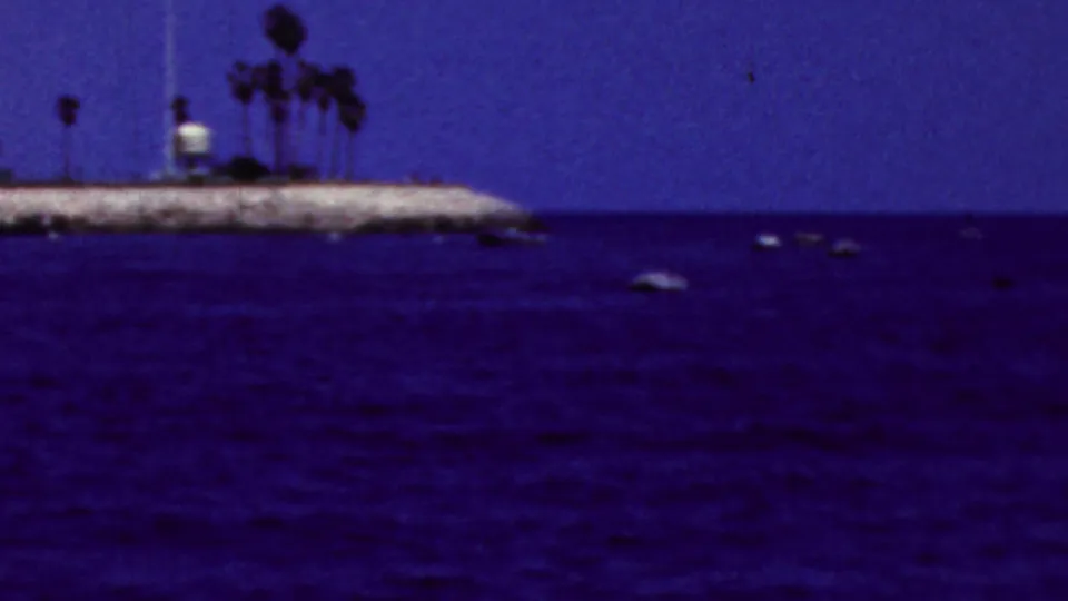 1961 California home-movie frame with small boats spread across dark water and a palm-topped rocky breakwater near the horizon.
