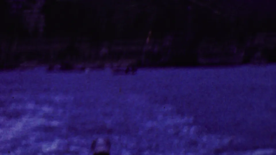 Soft, dark 8mm frame with blue harbor water in the foreground, a shadowed shoreline band, and partial waterfront architecture near the upper edge.