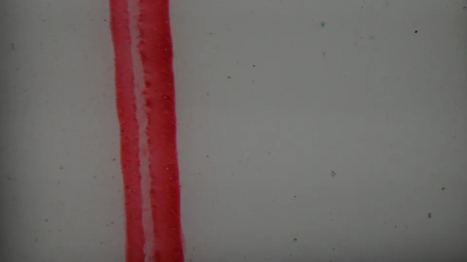 A close 1962 8mm frame shows a red vertical streak against a pale surface before the beach overlook appears.