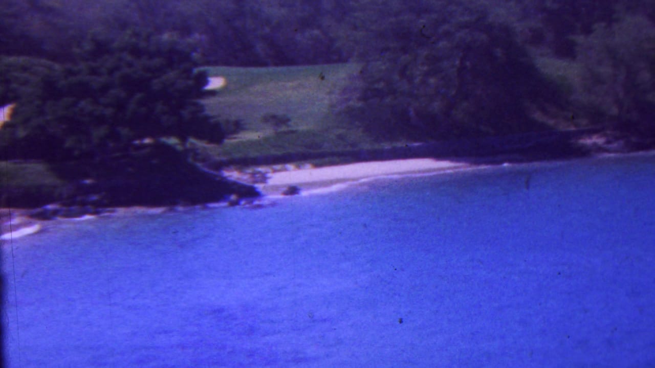 An elevated Hawaii shoreline view shows blue water, a pale sandy beach, dense trees, and a green grassy area in soft 8mm color.