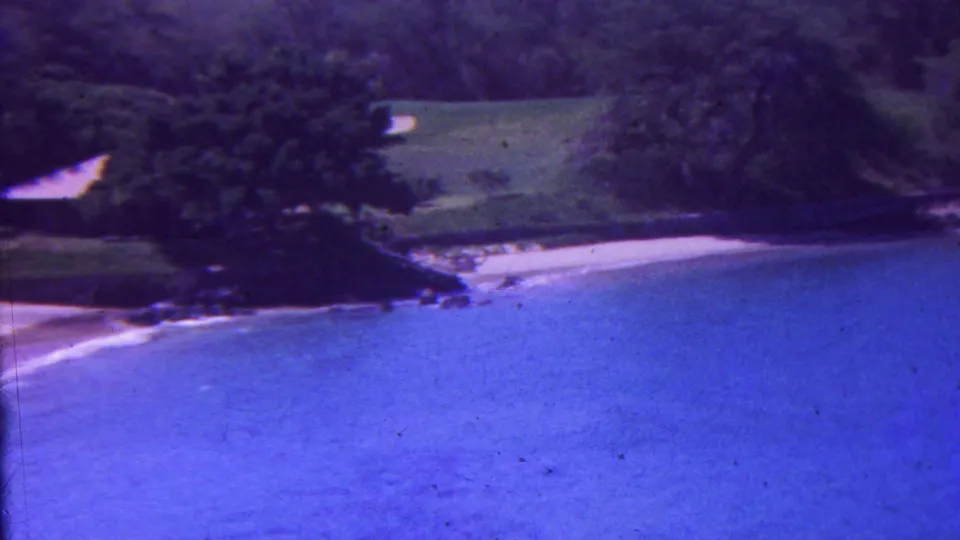 The 1962 home-movie frame looks across a Hawaiian beach with bright blue water, white sand, dark trees, green grass, and rocky shoreline edges.