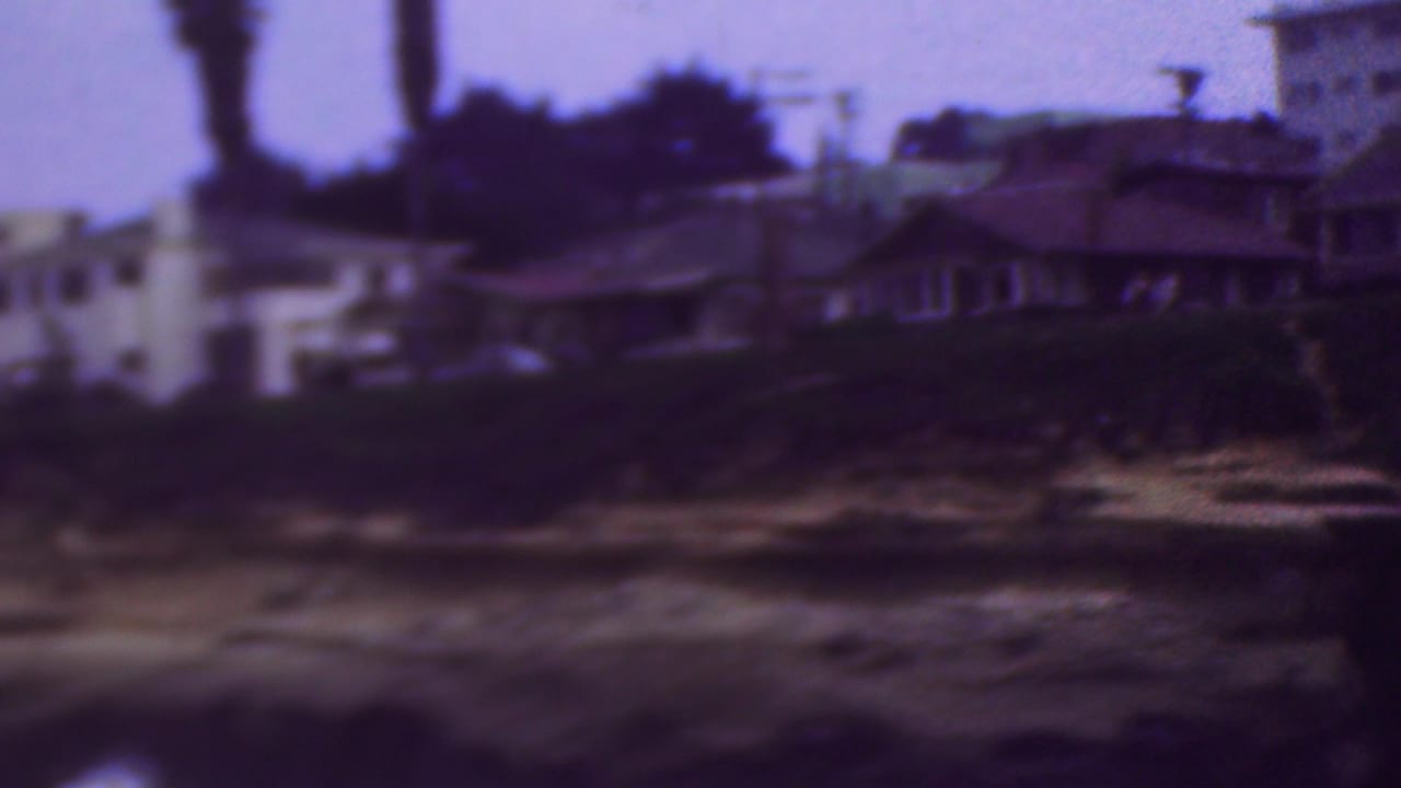 Final frame of the pan shows shoreline residences, tall trees, and dark rocky ledges above the surf, rendered with soft 8mm grain and purple cast.