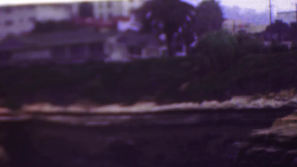 1953 8mm frame from the supplied location metadata showing palm trees, beach houses, thick greenery, sand-colored shoreline, and water in soft purple-tinted color.