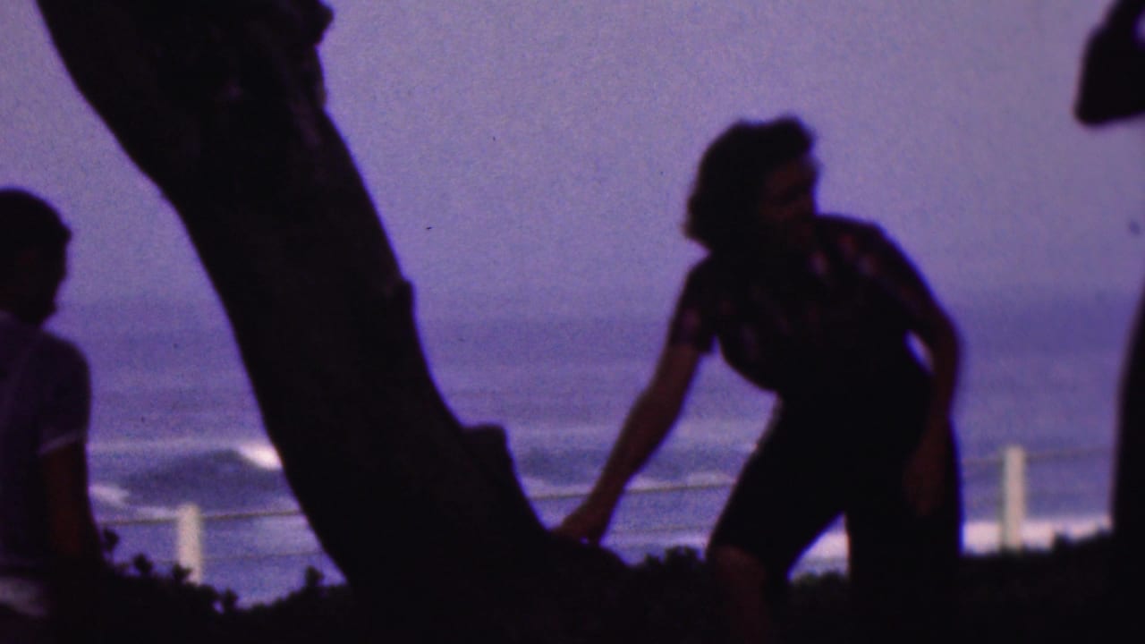 Silhouetted people stand near a tree with water in the background.