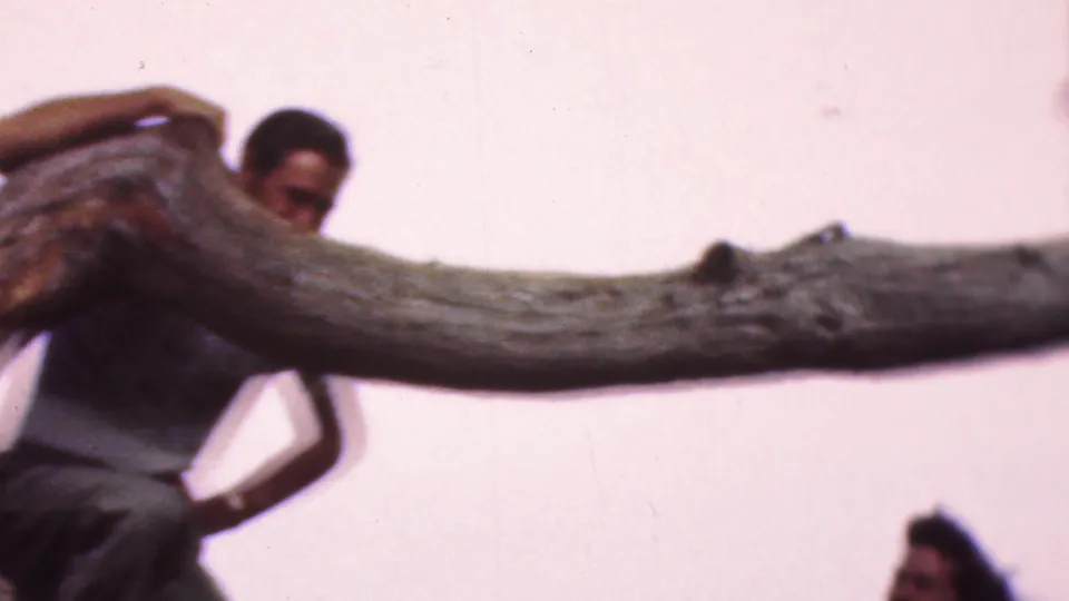 In metadata-supported 1953 Cleveland home-movie footage, an adult man in a light shirt appears partly obscured by a large bare tree branch against a pale pink sky.