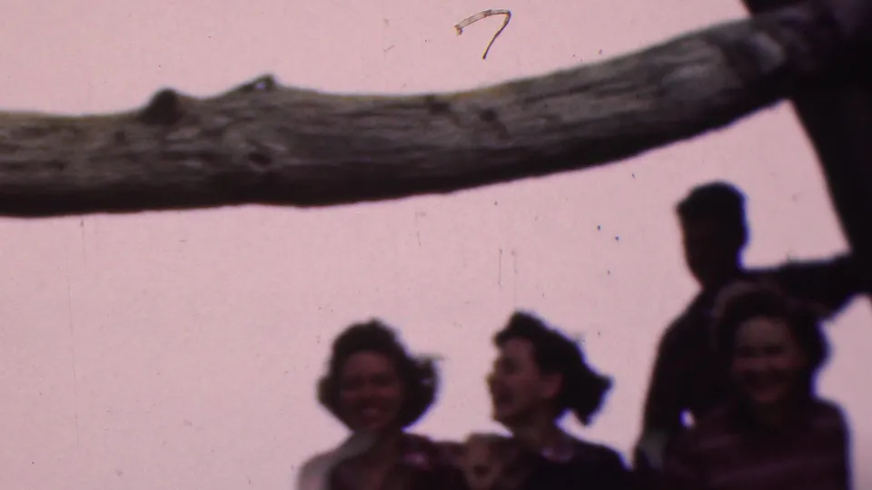 Several adults, including smiling women, stand beneath or near a prominent tree branch in a soft, pink-shifted 1953 Cleveland 8mm home-movie frame.