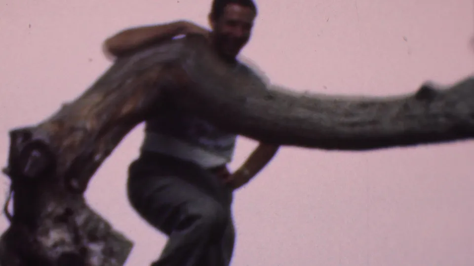 An adult man in a light shirt and dark trousers appears seated on or climbing a large tree branch in the metadata-supported Cleveland 1953 home-movie scene.