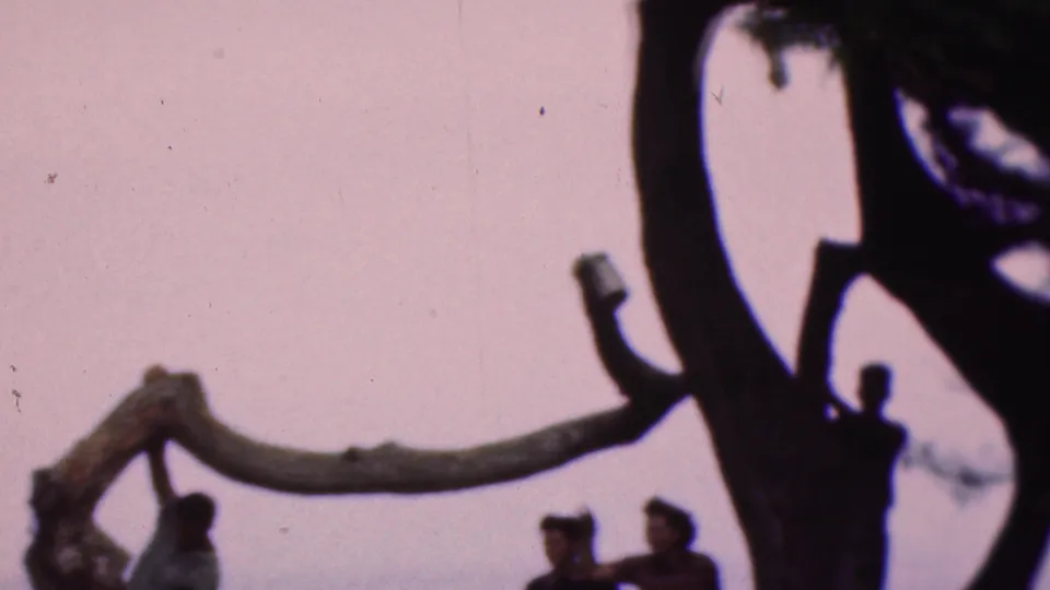 1953 Cleveland 8mm frame showing several silhouetted people beneath a large tree, including one figure appearing to hang from or climb near a low branch.