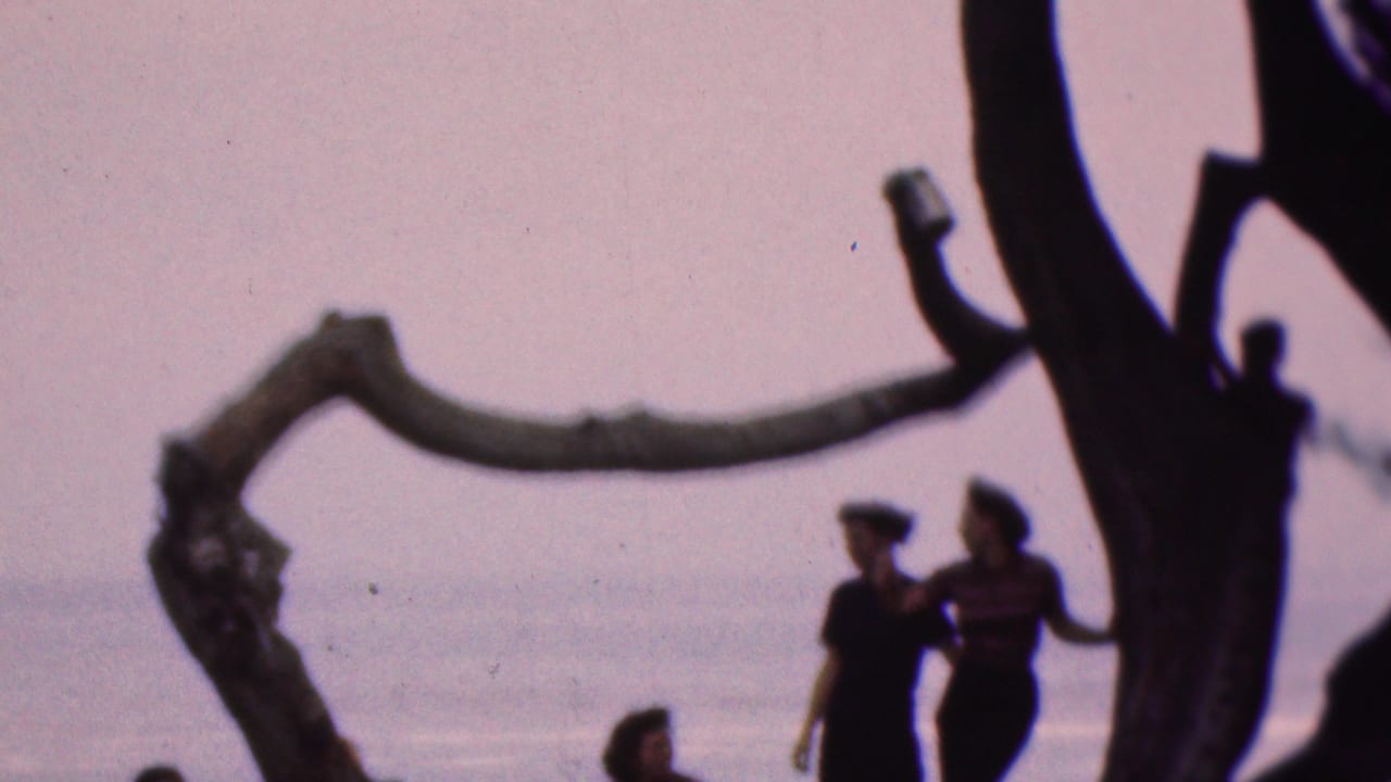 1953 Cleveland, Ohio home-movie frame showing silhouetted adults near a large gnarled tree by a hazy waterfront, with soft 8mm color and grain.