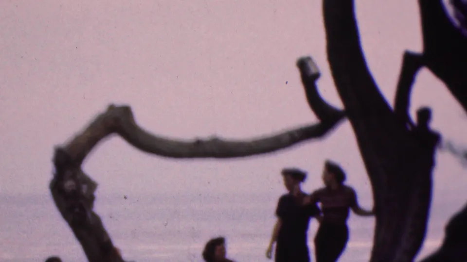 1953 Cleveland, Ohio home-movie frame showing silhouetted adults near a large gnarled tree by a hazy waterfront, with soft 8mm color and grain.