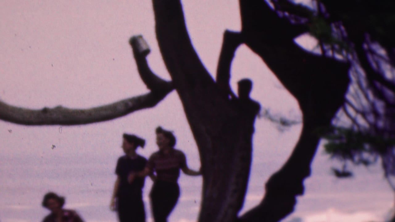 Two adults stand close together by a dark tree trunk and curving branch near the water.